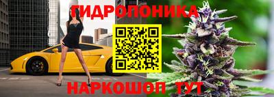 ПСИЛОЦИБИНОВЫЕ ГРИБЫ Нарткала
