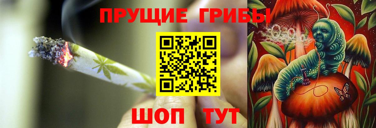 Псилоцибиновые грибы Magic Shrooms  Вход с VPN  Ставрополь  Галлюциногенные грибы MAGIC MUSHROOMS 