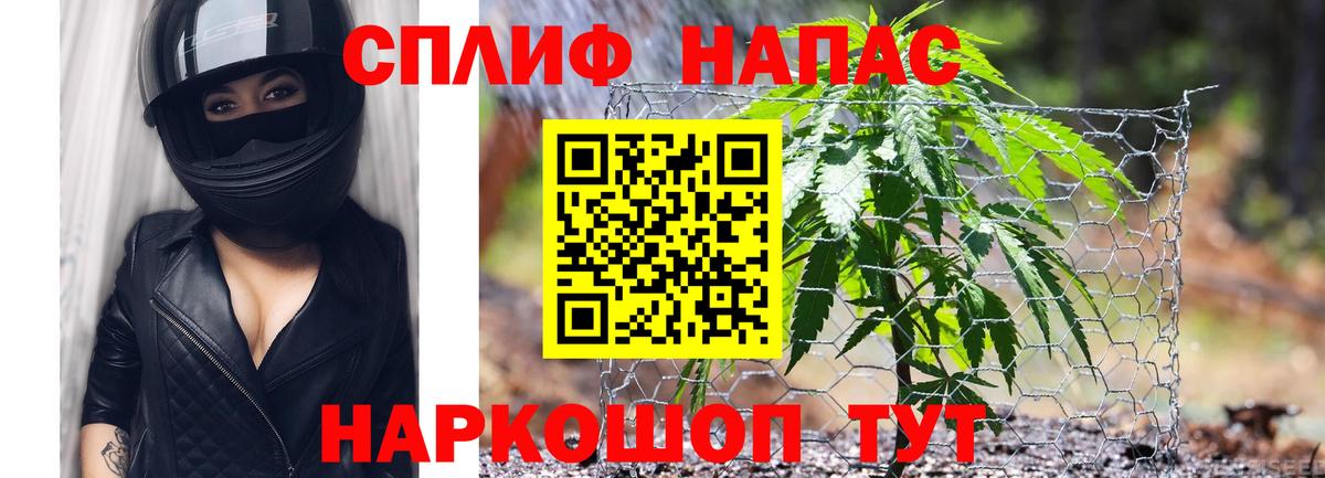 Бошки Шишки MAZAR Ставрополь